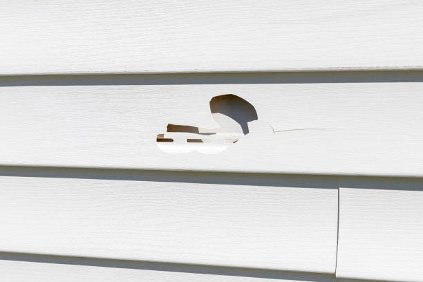 Affordable Siding Repair and Maintenance Services in Little Falls, MN